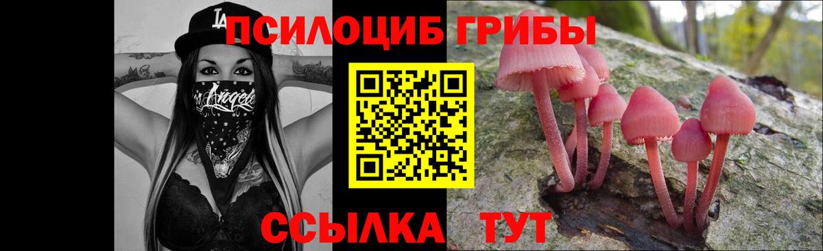 Галлюциногенные грибы GOLDEN TEACHER Йошкар-Ола